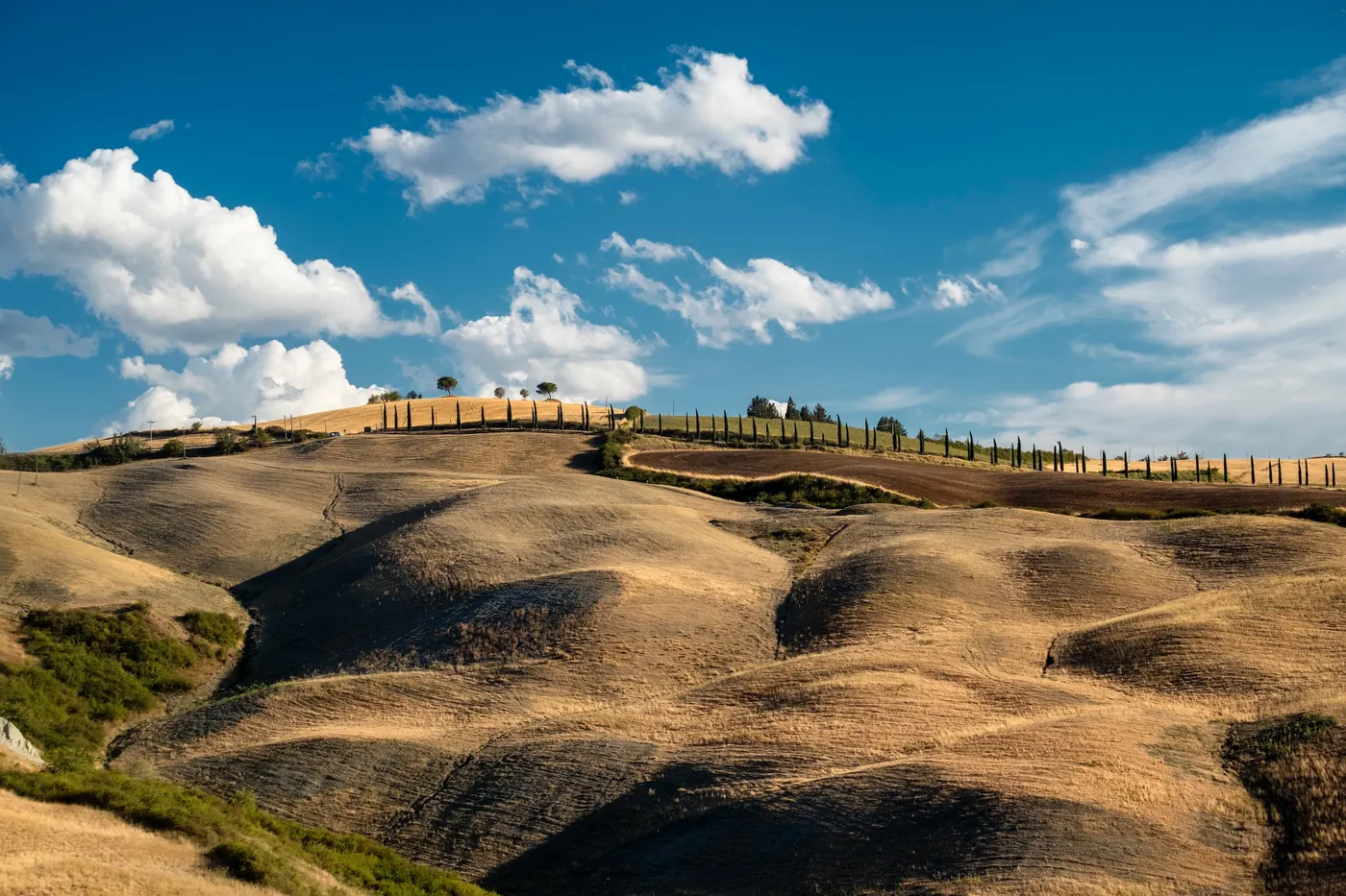 Colline delle Crete Senesi con un filare di cipressi